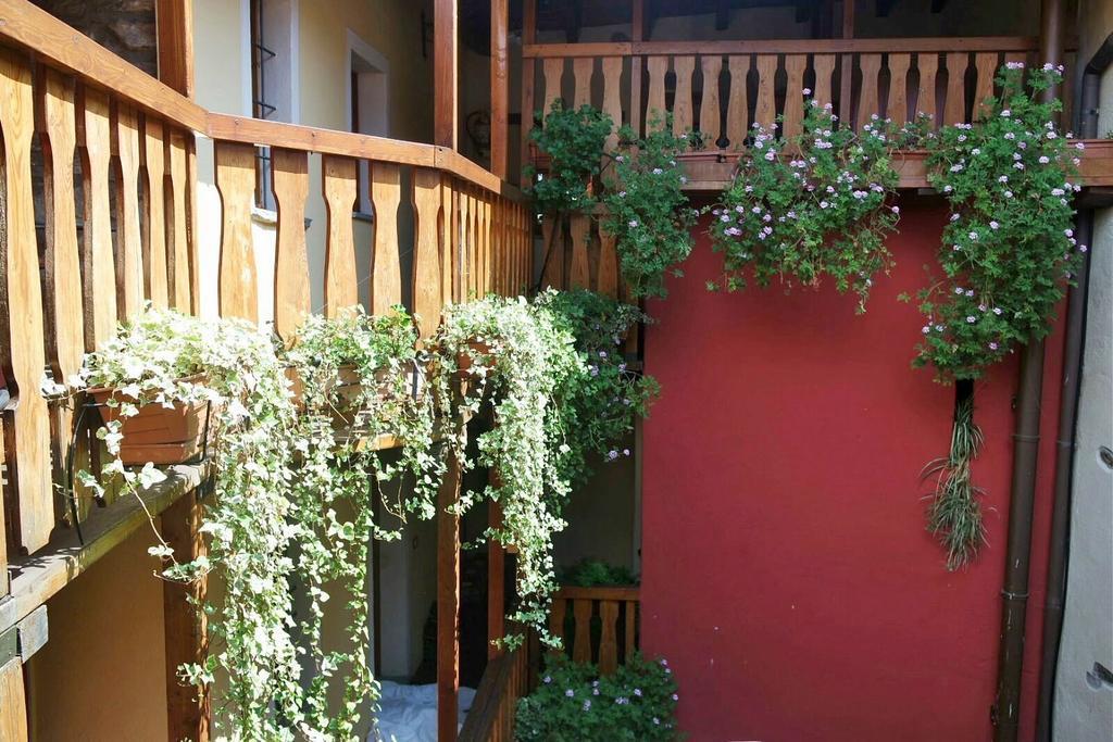 Appartamenti Vacanze E Camere Roccetta Fiorita Pettenasco Exterior photo